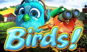 Играть в Slot Birds