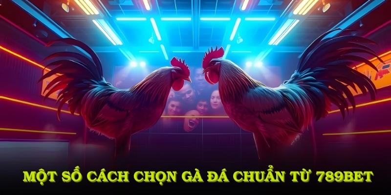 Một số cách chọn gà đá chuẩn